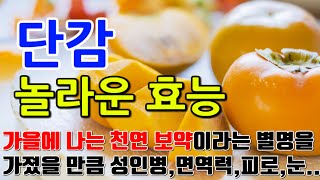 [단감 효능] 단감의 기적, 몸과 마음을 위한 자연 요법