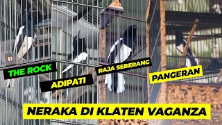 NERAKA DI KLATEN VAGANZA | Kacer ADIPATI, The Rock, Raja Seberang Dan PANGERAN Berebut TAHTA