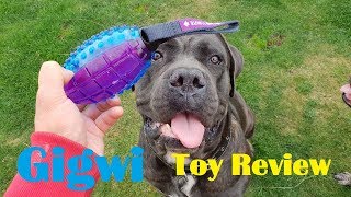 Gigwi Squeak / Mute dog toy Review by PawVlogs' Cane Corso and Ember.