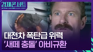 새 충돌은 ‘소형 폭탄급’?…유력 원인 ‘조류 충돌’ 뭐길래? [경제콘서트] / KBS  2024.12.30.