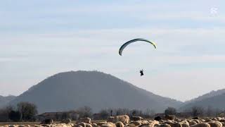 Il Parapendio Vicino alle pecore