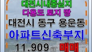 #대전아파트부지매매 #대전광역시토지 면적11,909㎡ 28억 대전 토지 땅 매매 급매 #개발부지 #대전시아파트부지 #대전땅 #대전토지 #대전개발부지 #대전사업용부지 #대구공장박사