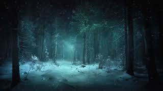 Звуки снежной бури для расслабления.Зима в лесу.Звук метели.