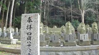 30秒の心象風景15361・八十八ヶ寺～岩瀧寺石仏～