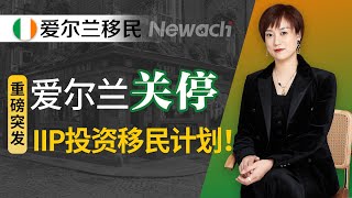 【重磅突发】爱尔兰关停投资移民计划！爱尔兰新任司法部长官宣，2月15日后不再接受申请，基金项目给予3个月缓冲期，未来申请如何应对？#爱尔兰移民#富豪移民#移民#欧洲移民#爱尔兰变政