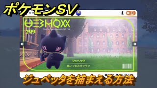 ポケモンＳＶ　ジュペッタを捕まえる方法！出現場所は？図鑑No.２９９　ポケモン図鑑を埋めよう！　【スカーレット・バイオレット】