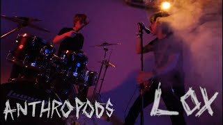 Anthropods-Lox (demo version) Official Music Video