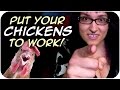 Justin Rhodes Chicken Methods (PUT YOUR CHICKENS TO WORK!) (52)