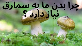 ویتامین های و فواید سمارق برایی ادامه ایی حیات ما