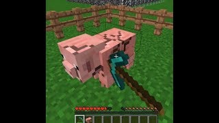 this cursed Minecraft video will trigger you...