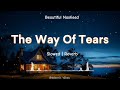 The way of Tears (Slowed & Reverb)  الدموع سبیل