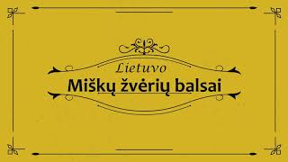 Lietuvos miškų žvėrių balsai