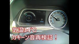 ４０Kリーフオーナーの言いたい放題 暑い！34℃カキーン音再確認してみよう!