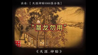 潜龙勿用 天涯神贴1000+持续更新战斗低谷期的人往往会表现出两种状态，一种是万念俱灰，然后就是破罐子破摔，死猪不怕开水烫，另一种则到处寻找机会，一刻不停的想着