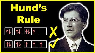 🔴 Hund's Rule of Maximum Multiplicity || Chemistry for Class 11 in HINDI