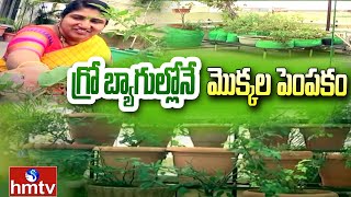 గ్రో బ్యాగుల్లోనే  మొక్కల పెంపకం | Method Of Growing Plants in Grow Bags | Terrace Garden | hmtv