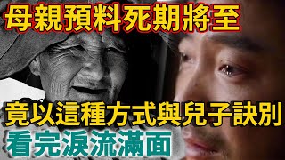 元氣十足的母親預料死期將至，竟以這種方式與兒子訣別！看完淚流滿面 | 禪語