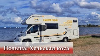 Хельская коса (Польша) поездка за GoPro 7. Наглый лебедь)