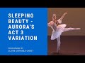 Sleeping Beauty, Aurora's Act 3 variation - performed at The Chantry Gala