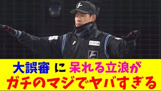 中日・立浪監督のあきれ顔がガチのマジでヤバすぎるとなんｊとプロ野球ファンの間で話題にｗｗｗ審判の大誤審【なんJ反応集】