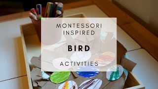 Birds | Montessori Inspired Spring Activities for Toddlers and Preschoolers