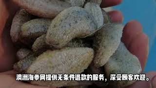 【Star of ACETIE】Australia Sea Cucumber Network | 澳洲海参网 | 博览会之星