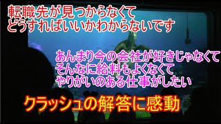 🔵【クラッシュの解答に感動】転職先が見つからなくてどうすればいいかわからないです【タートルトーク】東京ディズニーシー