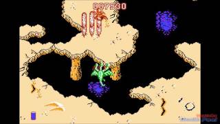 1987 Dragon Spirit (NES) Game Playthrough Retro Game