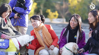 日本介助犬協会って？（日本語 ver.）