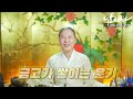 2024년 하반기 대박이 기다리는 닭띠운세