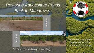 Everything you Always Wanted to Know about Mangroves (but were afraid to ask)