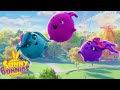 Let's Fly Away - Sunny Bunnies | Cartoons For Kids