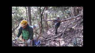 山道の倒木の除去2022.12.26(山口県周防大島町地家室)