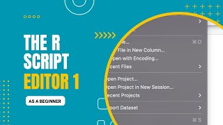 R Basics - The R Studio Script Editor - Part 1
