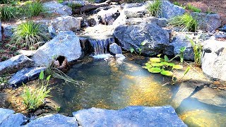 Adding Fish to the Bass Pond!!