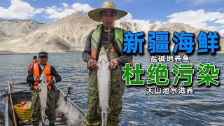 又是被国家折服的一天！江浙沪成了偏远地区，新疆海鲜不包邮