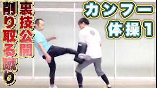 カンフーは弱い？【最強北派長拳】削り取る蹴り方