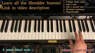 Shredding - Instantly transfer your A minor blues scale licks to E and D (advanced)