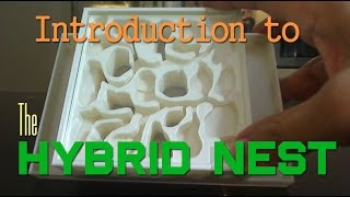 Introduction to the Hybrid Nest | New AntsCanada Formicarium (Ant Farm)