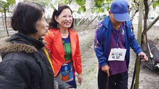 大村長照C據點  童趣大稻埕『獨居長者懷舊圓夢行』