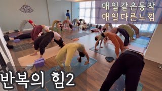 [엔젤요가] 반복의 힘2 | 매일 같은 동작 매일 다른느낌 | 요가수업영상 | 모닝요가 | 데일리요가 | 홈요가 | yoga | home yoga