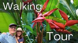 Hidden Gem in Hilo: Hawaii Tropical Botanical Garden!