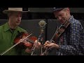 foghorn stringband sud de la louisiane