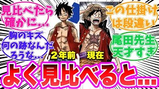 【最新1134話時点】今のルフィが実は〇〇だと発見してしまった読者の反応集【ワンピース】