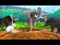 गर्भवती हाथी का बच्चा और भेड़िया का हमला pregnant elephant baby and wolf attack story jungle stories