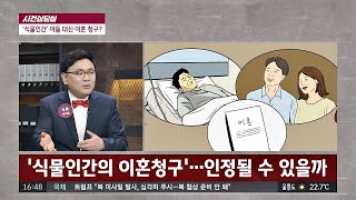 [사건상담실] ′식물인간′ 아들.... 이혼 청구는？ 사건반장 1147회