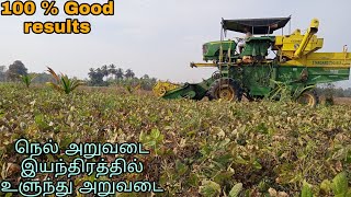 Blackgram harvester in John Deere 5310