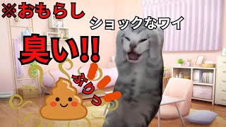 【猫ミーム】イボ痔を切る手術をしたら下半身の感覚が無くなり、お漏らしした話＃猫マニ＃猫ミーム