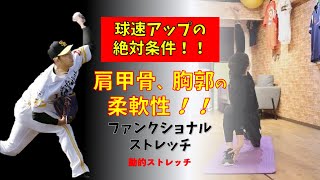 【プロ野球 左投手 球速アップ】球速アップの絶対条件！！肩甲骨、胸郭の柔軟性向上ファンクショナルストレッチ