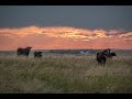 2022 ESAP Region VII Winner - Jorgensen Land and Cattle